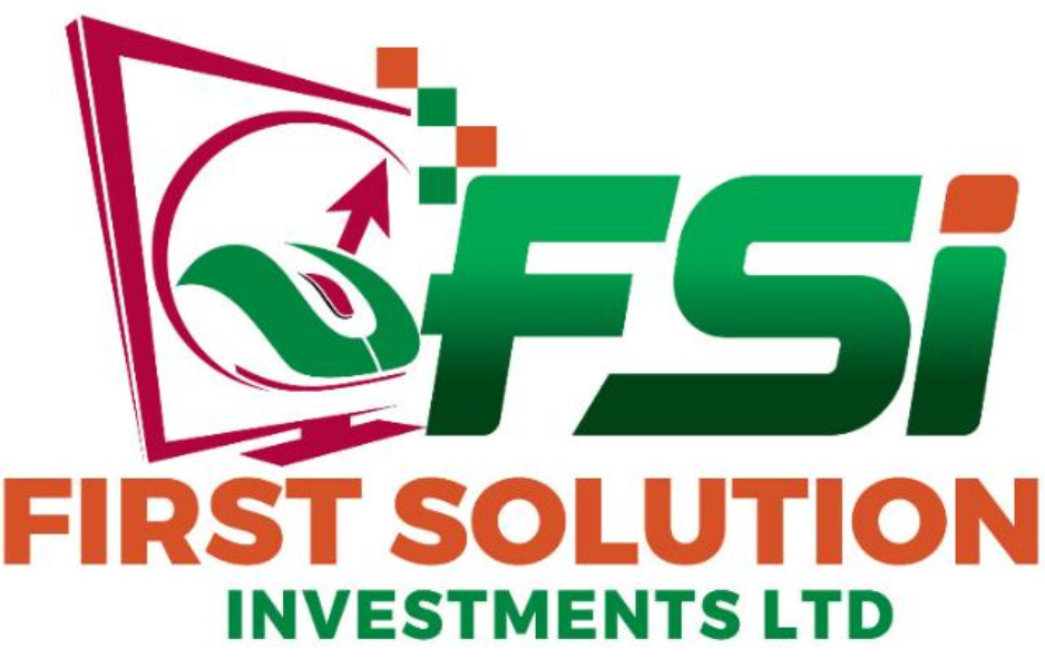 FIRST SOLUTIONS  INVESTIMENTS LTD